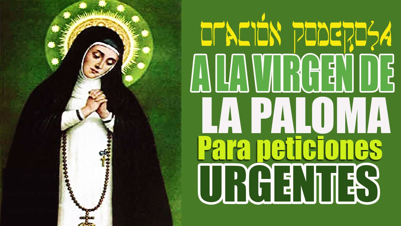 Oración a la Virgen de la Paloma: Una Guía para Orar